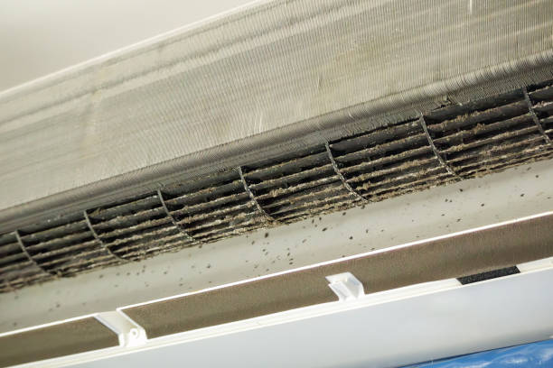 Best Ductwork Cleaning Services  in Morn, GA